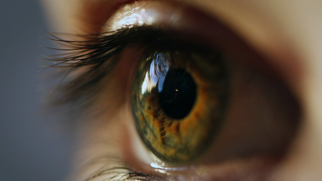 Descubren inesperada forma de 'ver' el envejecimiento y el riesgo de enfermedades cardíacas