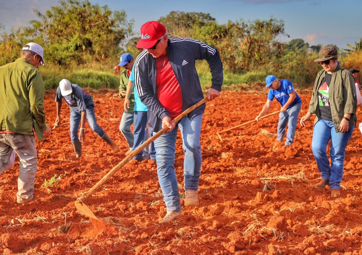 El Presidente de Cuba se sumó a la Jornada Nacional de Trabajo Voluntario