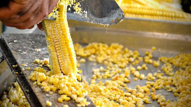 Cover de Noticia 85QIxx_12-11-2025_09.11.14.000000.jpg