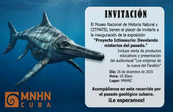 Muestra de reptiles marinos develará misterios del pasado