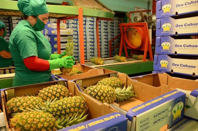 Cuba trabaja por lograr el desarrollo de todas las fuerzas productivas