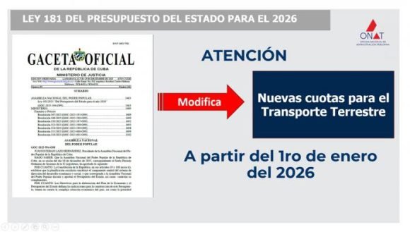 Desde este jueves: nuevas cuotas para impuestos del transporte terrestre