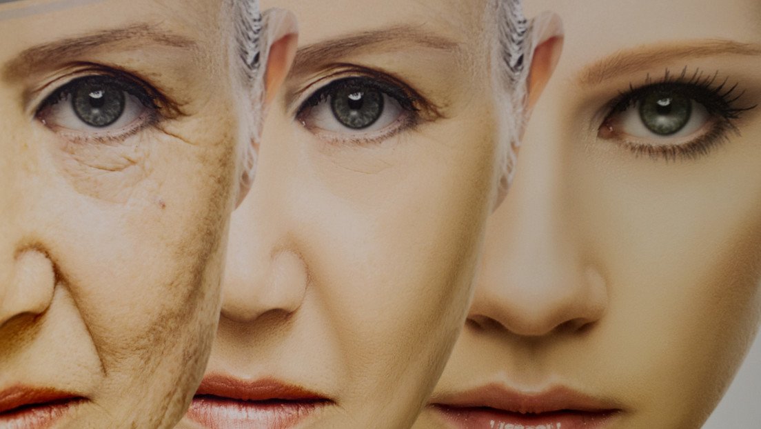 Prometedor método podría devolver al cuerpo la capacidad para rejuvenecer células viejas