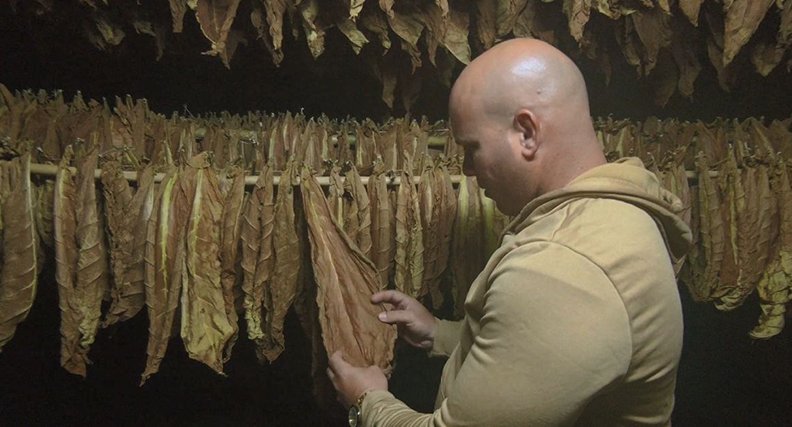 Nelson González Díaz es uno de los productores beneficiado con el proyecto de Desarrollo para la Producción Intensiva de la Capa.