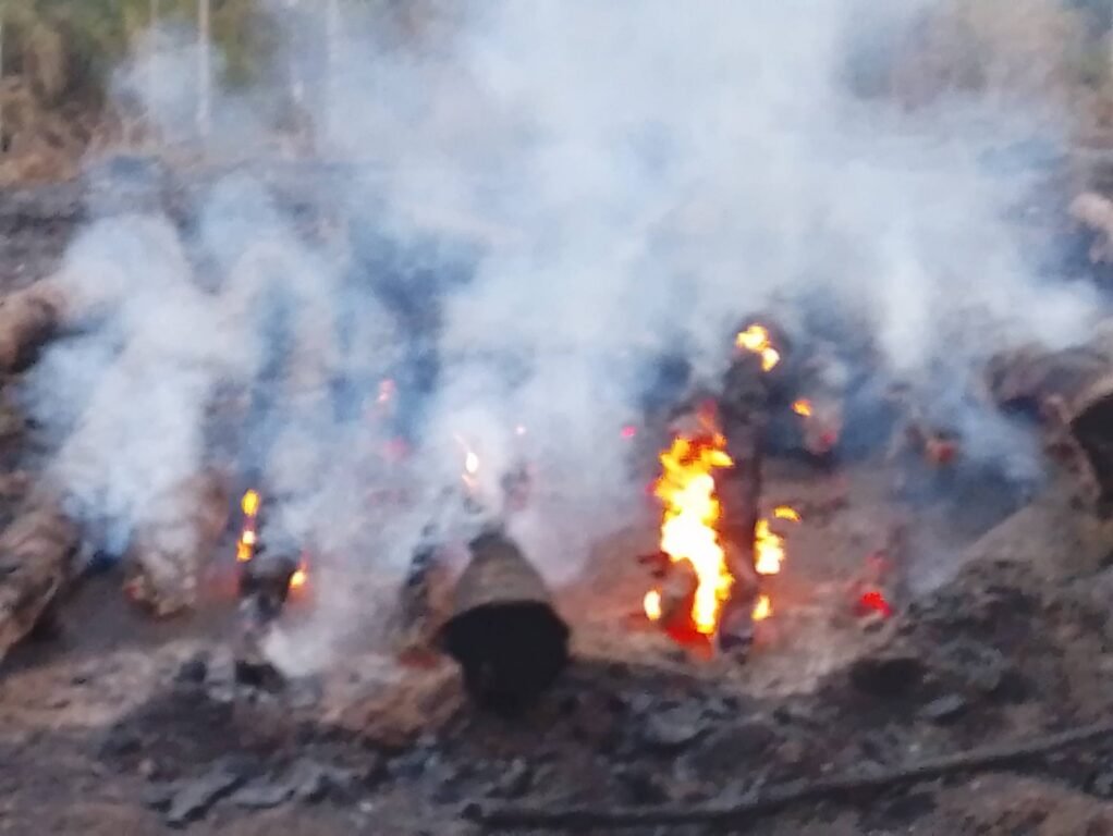 Incendio forestal en Pinar del Río