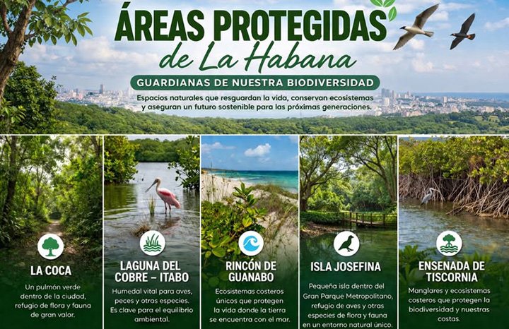 Áreas protegidas