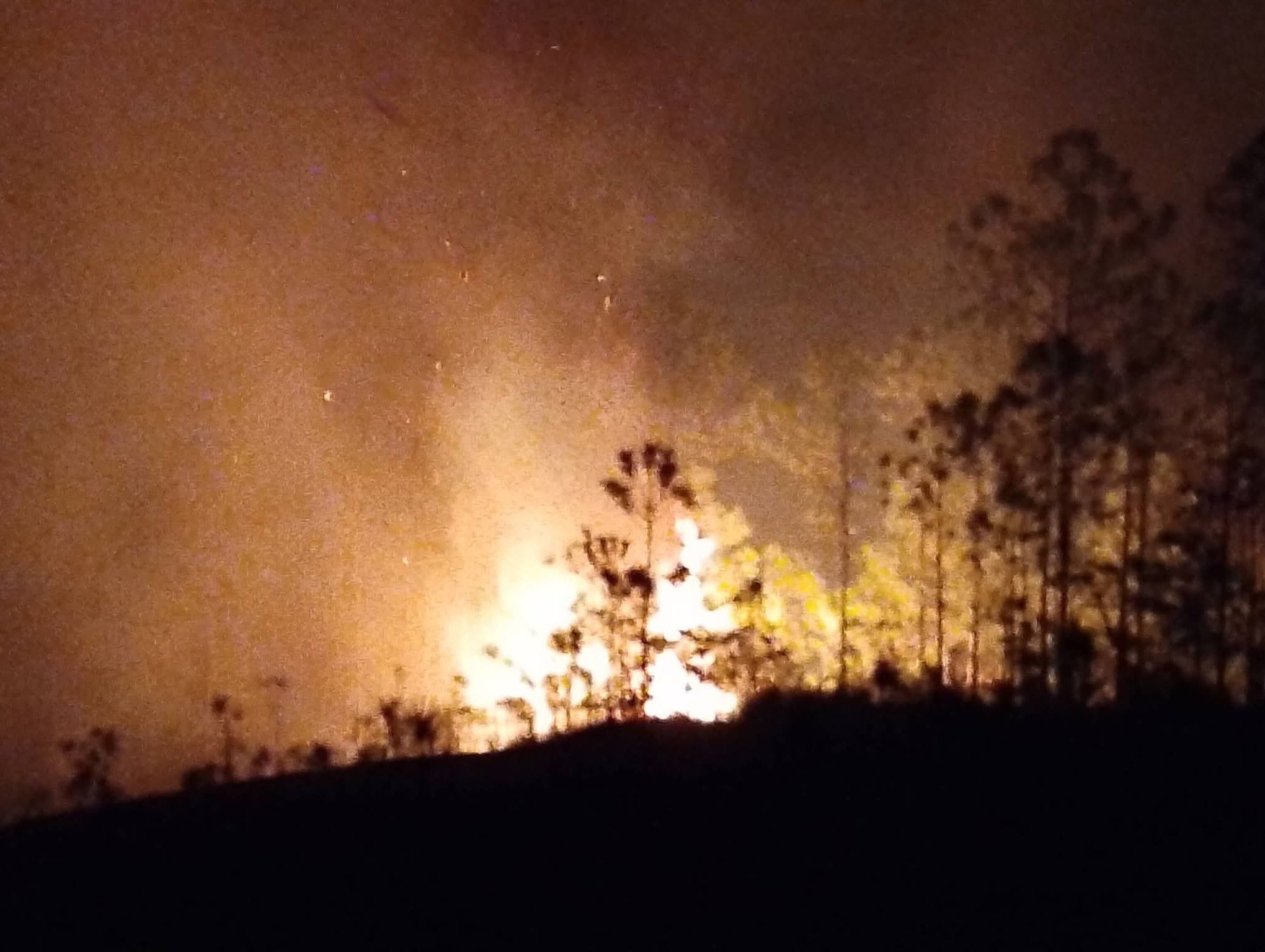 En lo que va de año Vueltabajo contabiliza 40 incendios y 199.6 ha de bosques afectadas, en tanto, los municipios de Pinar del Río, San Juan y Martínez y Minas de Matahambre son los de mayor incidencia.