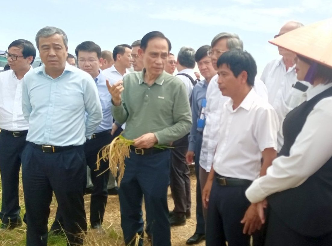 Canciller vietnamita visita empresas en Cuba