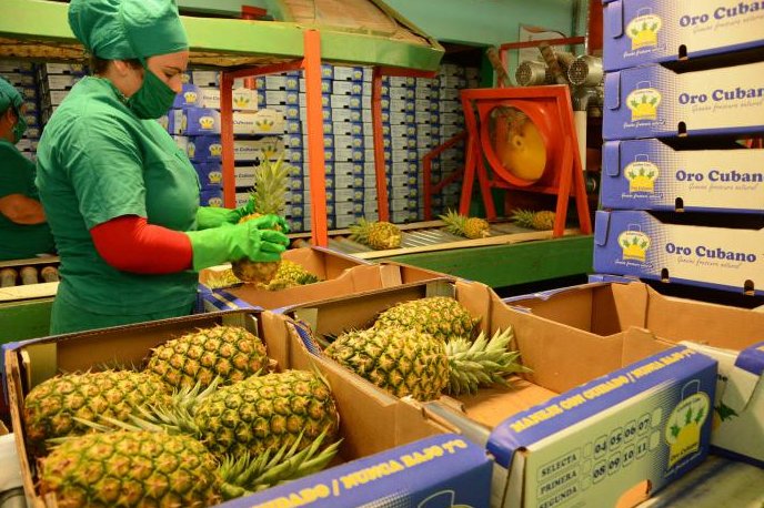 Las transformaciones productivas que se deben implementar para lograr mayores resultados en el mercado interno y externo serán abordadas en el Pleno