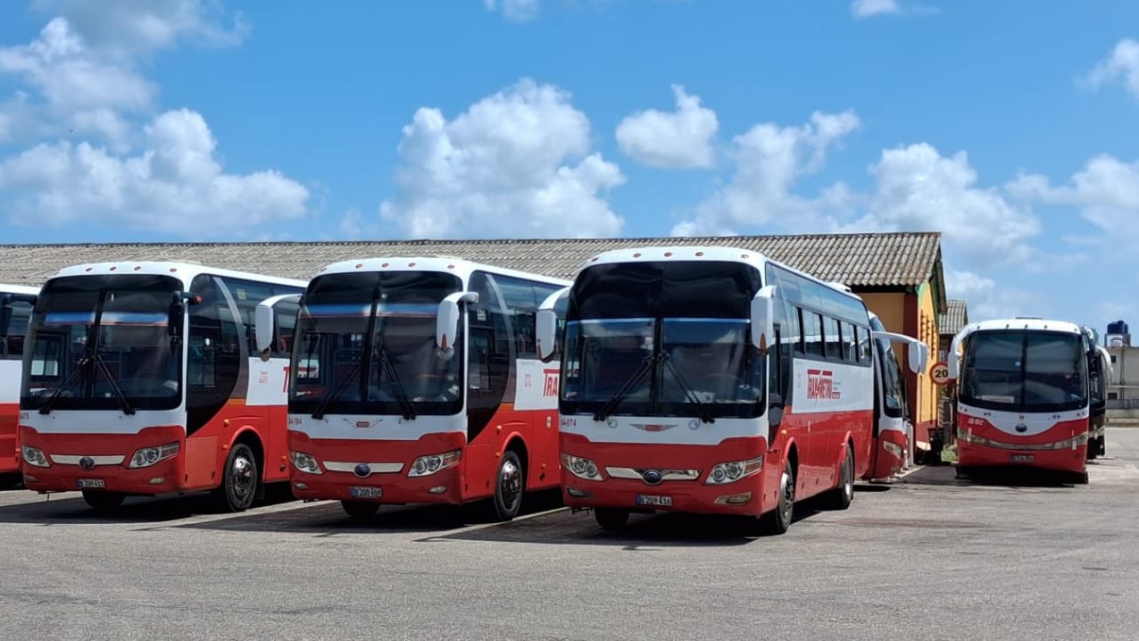Ómnibus en alquiler, una transformación sobre ruedas.jpg
