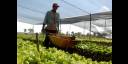 Agricultura 