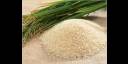 Arroz
