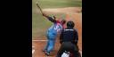 Despaigne 