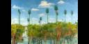 Bosques 