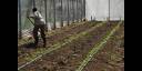 Agricultura 