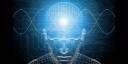 Cerebro