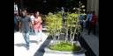 Bienal 