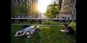 Un parque verde a ocho metros del suelo