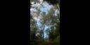 Topes de Collantes