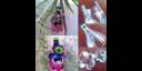 Casita de pájaro con botellas de plástico