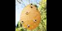 Piñata con forma de panal de abejas