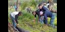 comunidad agropecuaria y académica de Estados Unidos