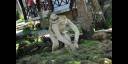 Zoológico de Piedras