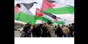 Celebran palestinos resolución