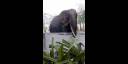 Zoo