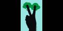 Cuidemos el medio ambiente