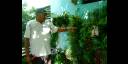 La pared exterior de su apartamento es un muestrario de plantas ornamentales