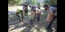 Siembra de árboles por la Unión de Jóvenes Comunistas (UJC) por el cuidado del medio ambiente. 