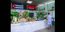 Cienfuegos en 26