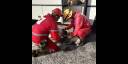 Bomberos y rescatistas asistieron a los animales
