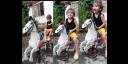 Caballo de madera