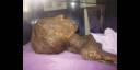 Cuerpo momificado de la señora Josefa Petronila Margarita Ponce de León.