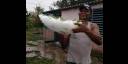 Granizada en Santa Clara