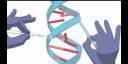 Técnica Crispr