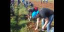 Jornada productiva desarrollada por más de 300 jóvenes avileños
