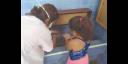Niña lavándose las manos