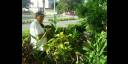 «Las plantas constituyen mi hobby, y lo serán hasta el último día»