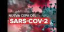 cepa de coronavirus SARS-CoV-2