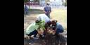 Jornada Juventud en verde, desarrollan por las Brigadas Técnicas Juveniles y la Red Juvenil Ambiental de Cuba