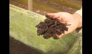 El humus de las lombrices  asegura el fertirriego a más  de 80 hectáreas de cultivos.