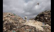 Contaminación por plástico