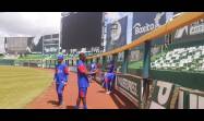 Béisbol