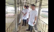 El joven campesino se siente comprometido con el aporte social.  