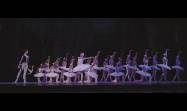 Tributo a Alicia Alonso