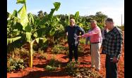 Asimismo dialogó con el productor de Guanajay, y Alexander Escalona Clemente, quien siembra cultivos varios y obtiene un rendimiento de hasta 150 libras de frutabomba en cada planta
