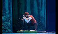 Giselle, por el ballet Laura Alonso